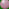 falex_2019001.jpg